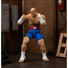 Ultra Street Fighter II: The Final Challengers SAGAT Deluxe (Wave 4) JD35171 3