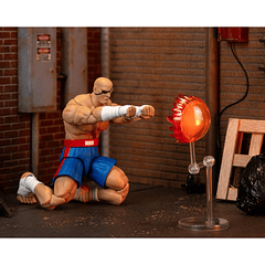 Ultra Street Fighter II: The Final Challengers SAGAT Deluxe (Wave 4) JD35171 6