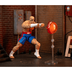 Ultra Street Fighter II: The Final Challengers SAGAT Deluxe (Wave 4) JD35171 7