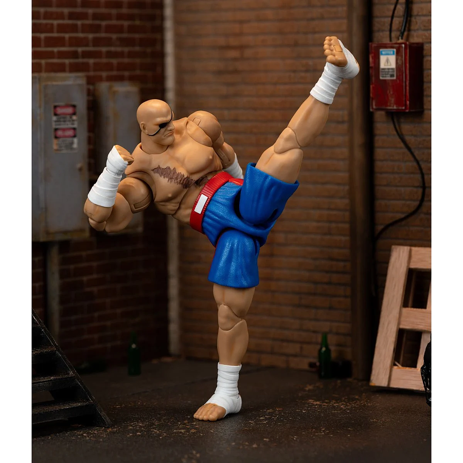Ultra Street Fighter II: The Final Challengers SAGAT Deluxe (Wave 4) JD35171 9