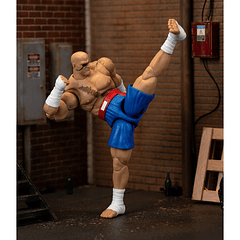 Ultra Street Fighter II: The Final Challengers SAGAT Deluxe (Wave 4) JD35171 9