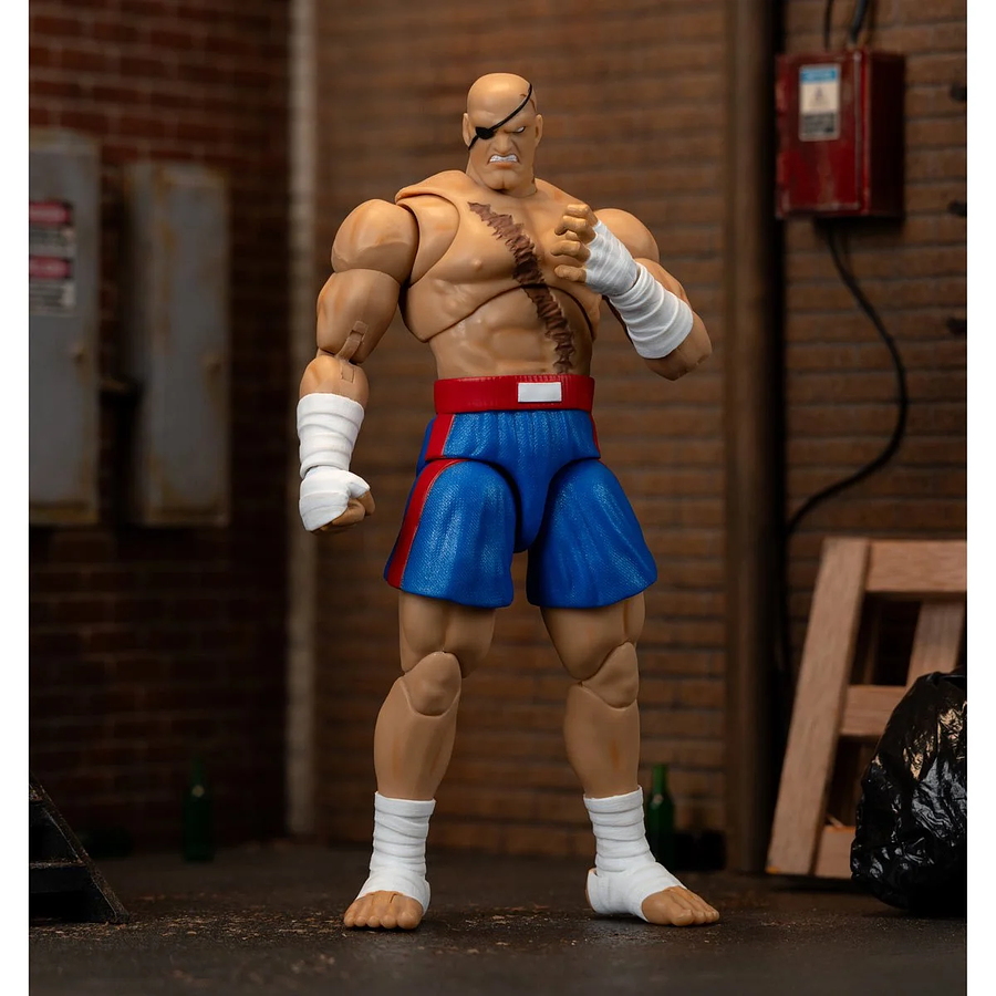 Ultra Street Fighter II: The Final Challengers SAGAT Deluxe (Wave 4) JD35171 11