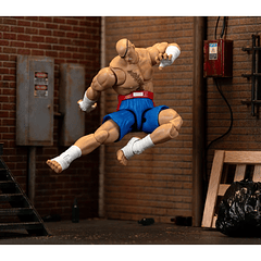 Ultra Street Fighter II: The Final Challengers SAGAT Deluxe (Wave 4) JD35171 12