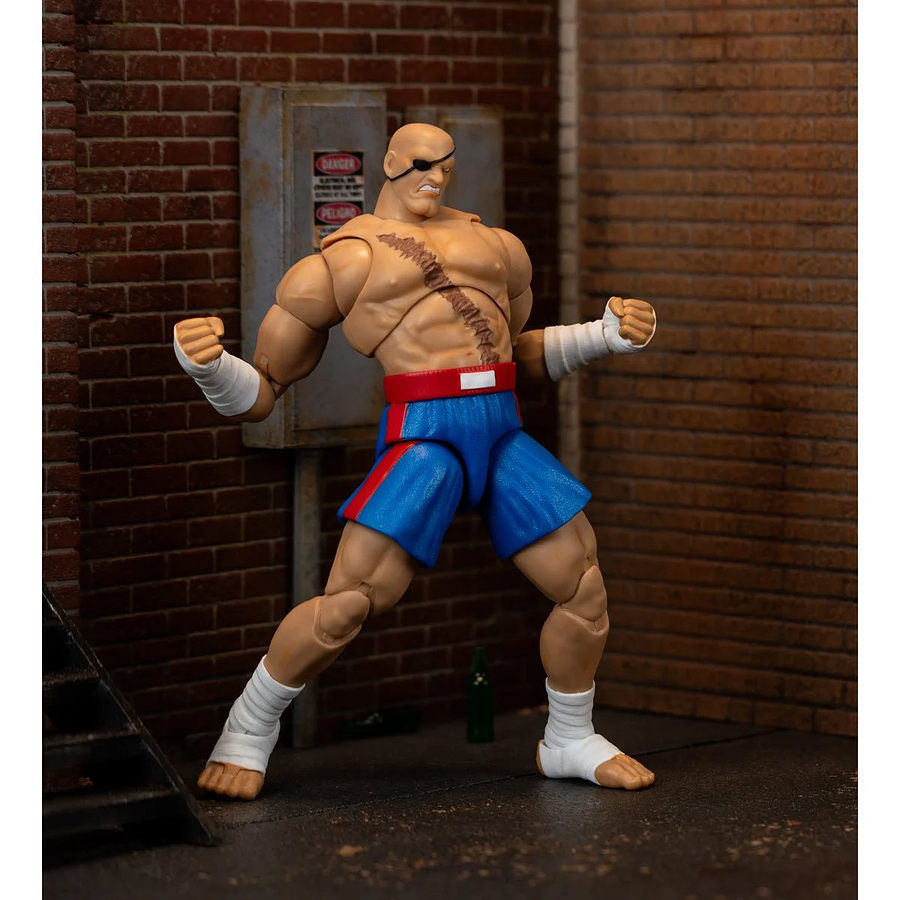 Ultra Street Fighter II: The Final Challengers SAGAT Deluxe (Wave 4) JD35171 13