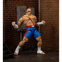 Ultra Street Fighter II: The Final Challengers SAGAT Deluxe (Wave 4) JD35171 13