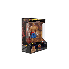Ultra Street Fighter II: The Final Challengers SAGAT Deluxe (Wave 4) JD35171 15