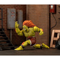 Ultra Street Fighter II: The Final Challengers BLANKA Deluxe (Wave 4) 12