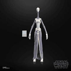 [Preventa Abierta] STAR WARS: THE BLACK SERIES TAUN WE 2