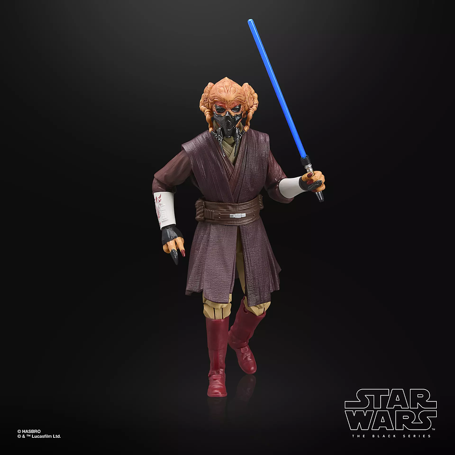 [Preventa Abierta] STAR WARS The Black Series Plo Koon & Clone Commander Wolffe 5
