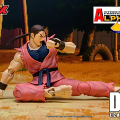 Street Fighter Alpha 3 Storm Arena Dan 1/12 Scale Action Figure 12