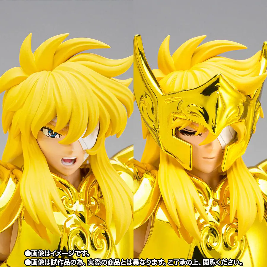 SAINT CLOTH MYTH EX AQUARIUS HYOGA–INHERITOR OF THE GOLD CLOTH 5