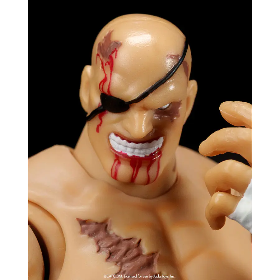 [Preventa Abierta] ULTRA STREET FIGHTER II 