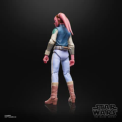 Star Wars: The Black Series Devon-Izara (Maul- Shadow Lord) Action Figure 7