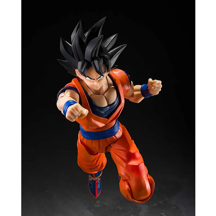 S.H.FIGUARTS SON GOKU〈THE KIND-HEARTED SAIYAN〉DRAGON BALL Z (God Aura) (USA Ver.) 4