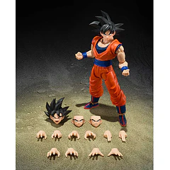S.H.FIGUARTS SON GOKU〈THE KIND-HEARTED SAIYAN〉DRAGON BALL Z (God Aura) (USA Ver.) 2