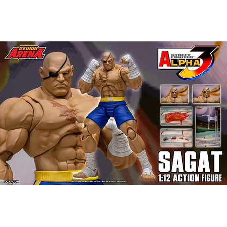 Street Fighter Alpha 3 Storm Arena Sagat 1/12 Scale Action Figure