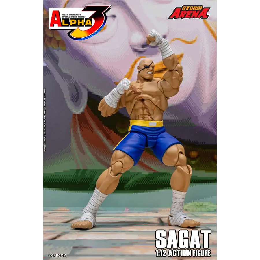 Street Fighter Alpha 3 Storm Arena Sagat 1/12 Scale Action Figure 4