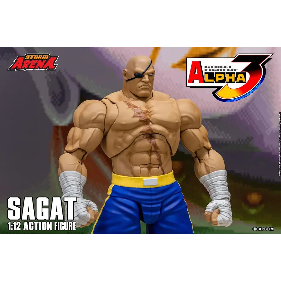 Street Fighter Alpha 3 Storm Arena Sagat 1/12 Scale Action Figure 5