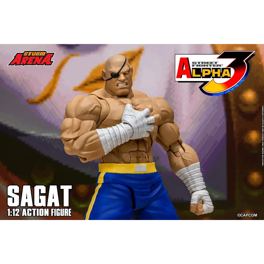 Street Fighter Alpha 3 Storm Arena Sagat 1/12 Scale Action Figure 6