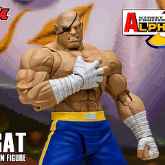 Street Fighter Alpha 3 Storm Arena Sagat 1/12 Scale Action Figure 6