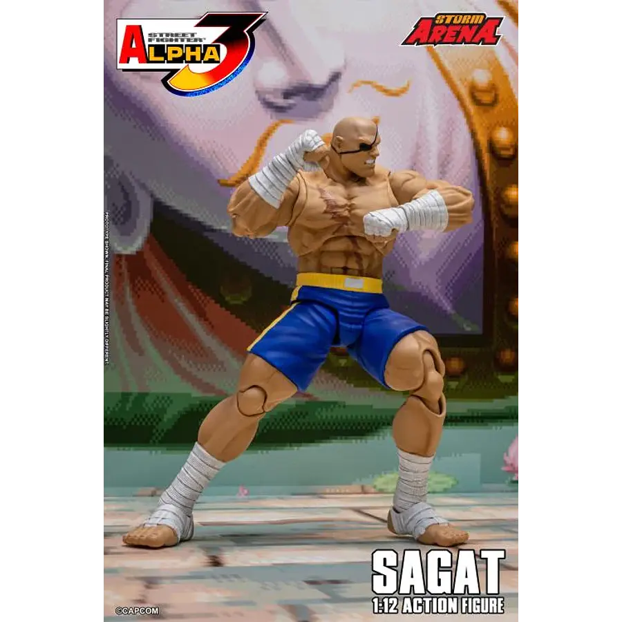 Street Fighter Alpha 3 Storm Arena Sagat 1/12 Scale Action Figure 7
