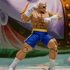 Street Fighter Alpha 3 Storm Arena Sagat 1/12 Scale Action Figure 7