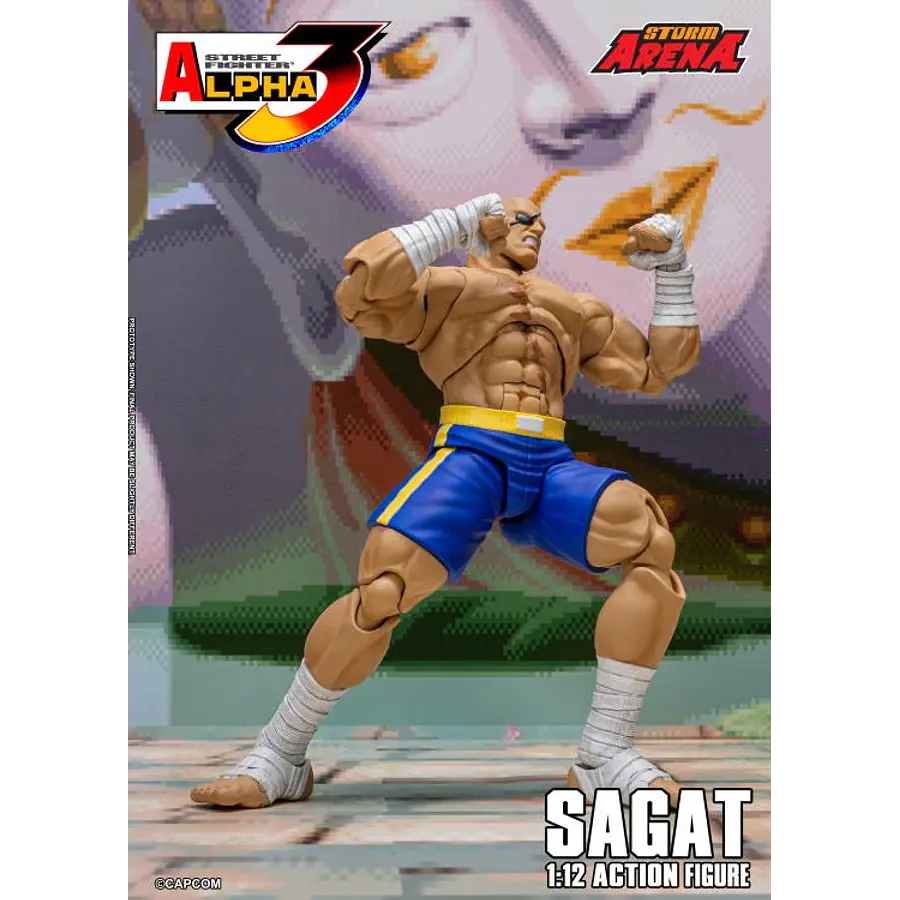 Street Fighter Alpha 3 Storm Arena Sagat 1/12 Scale Action Figure 8