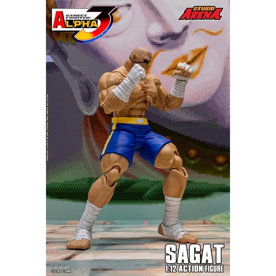 Street Fighter Alpha 3 Storm Arena Sagat 1/12 Scale Action Figure 9