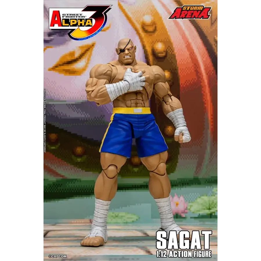 Street Fighter Alpha 3 Storm Arena Sagat 1/12 Scale Action Figure 10