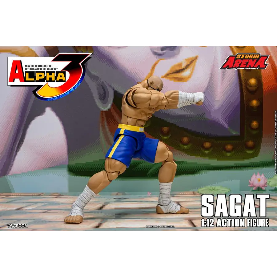 Street Fighter Alpha 3 Storm Arena Sagat 1/12 Scale Action Figure 11