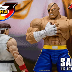 Street Fighter Alpha 3 Storm Arena Sagat 1/12 Scale Action Figure 13