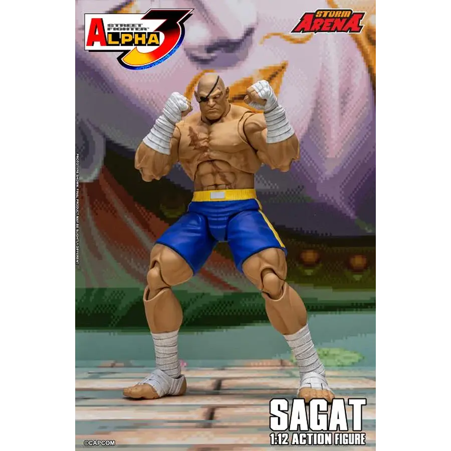 Street Fighter Alpha 3 Storm Arena Sagat 1/12 Scale Action Figure 14
