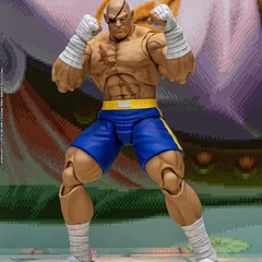 Street Fighter Alpha 3 Storm Arena Sagat 1/12 Scale Action Figure 14