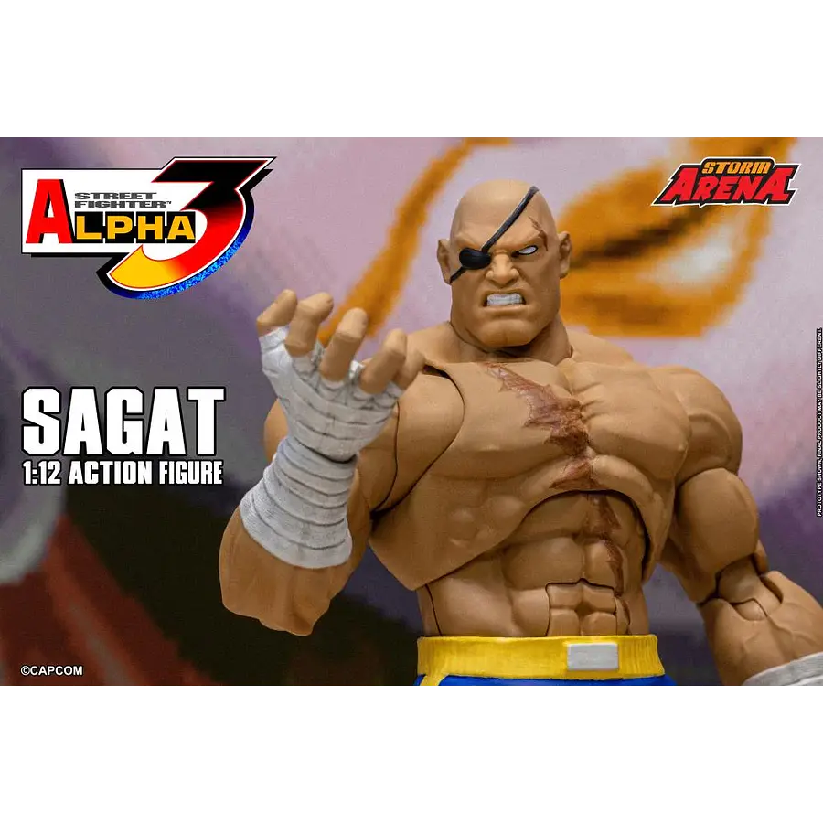 Street Fighter Alpha 3 Storm Arena Sagat 1/12 Scale Action Figure 15