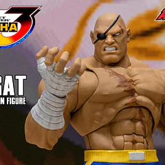 Street Fighter Alpha 3 Storm Arena Sagat 1/12 Scale Action Figure 15