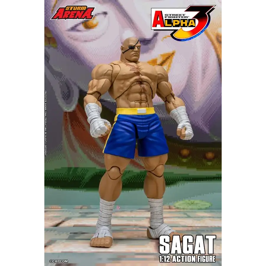 Street Fighter Alpha 3 Storm Arena Sagat 1/12 Scale Action Figure 16