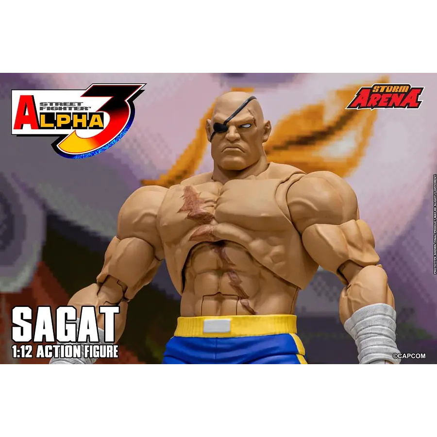Street Fighter Alpha 3 Storm Arena Sagat 1/12 Scale Action Figure 20
