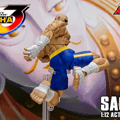 Street Fighter Alpha 3 Storm Arena Sagat 1/12 Scale Action Figure 21