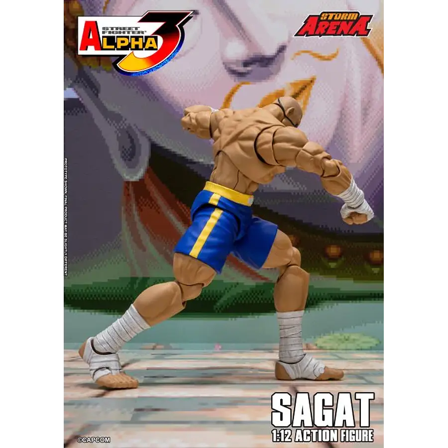 Street Fighter Alpha 3 Storm Arena Sagat 1/12 Scale Action Figure 22