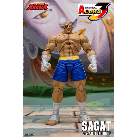 Street Fighter Alpha 3 Storm Arena Sagat 1/12 Scale Action Figure
