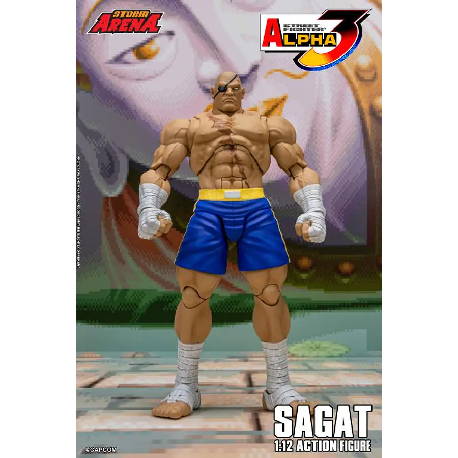 Street Fighter Alpha 3 Storm Arena Sagat 1/12 Scale Action Figure 1
