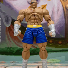 Street Fighter Alpha 3 Storm Arena Sagat 1/12 Scale Action Figure 1