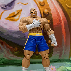 Street Fighter Alpha 3 Storm Arena Sagat 1/12 Scale Action Figure 3