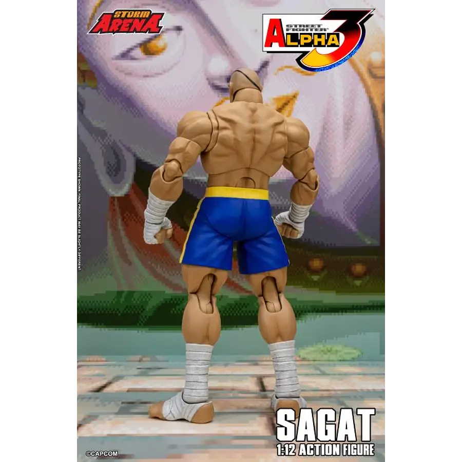 Street Fighter Alpha 3 Storm Arena Sagat 1/12 Scale Action Figure 23