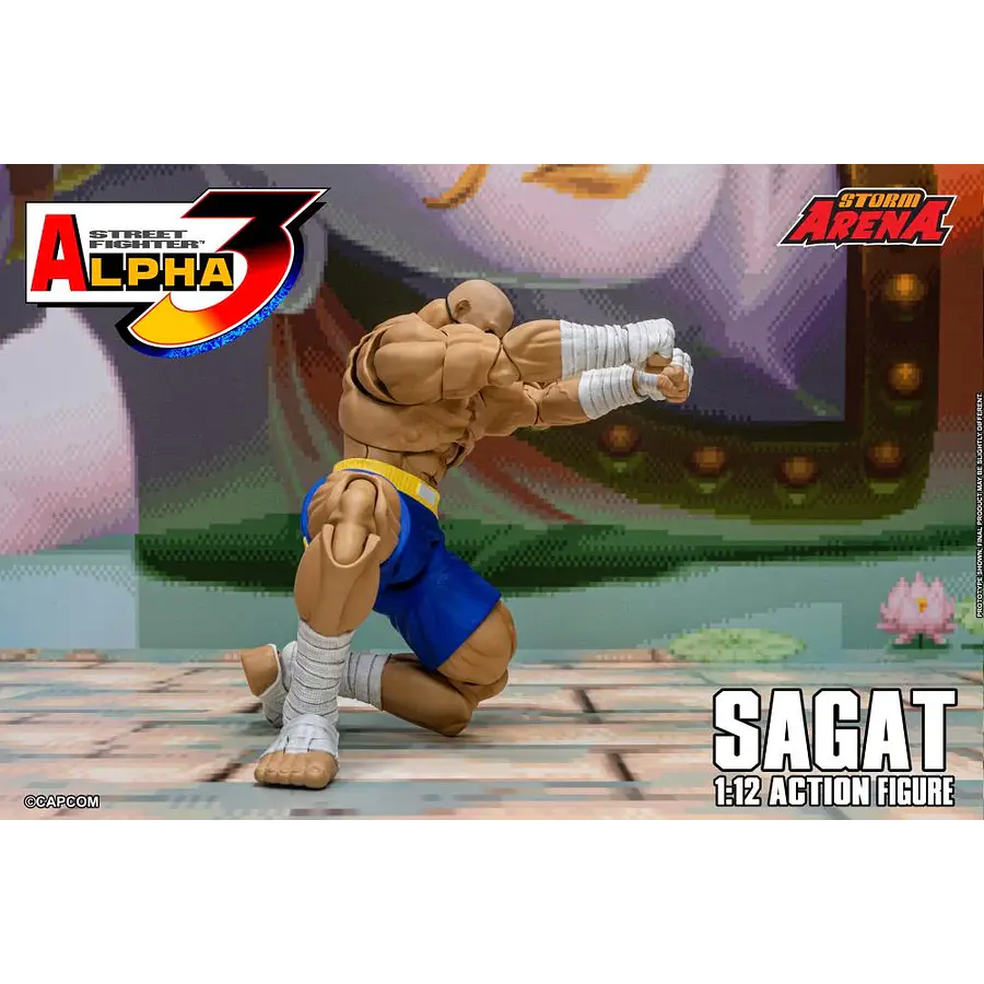 Street Fighter Alpha 3 Storm Arena Sagat 1/12 Scale Action Figure 24