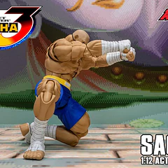 Street Fighter Alpha 3 Storm Arena Sagat 1/12 Scale Action Figure 24