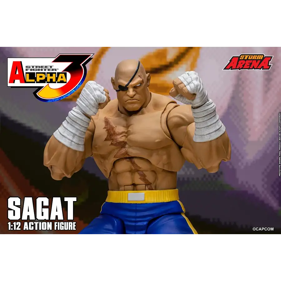 Street Fighter Alpha 3 Storm Arena Sagat 1/12 Scale Action Figure 25