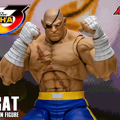 Street Fighter Alpha 3 Storm Arena Sagat 1/12 Scale Action Figure 25