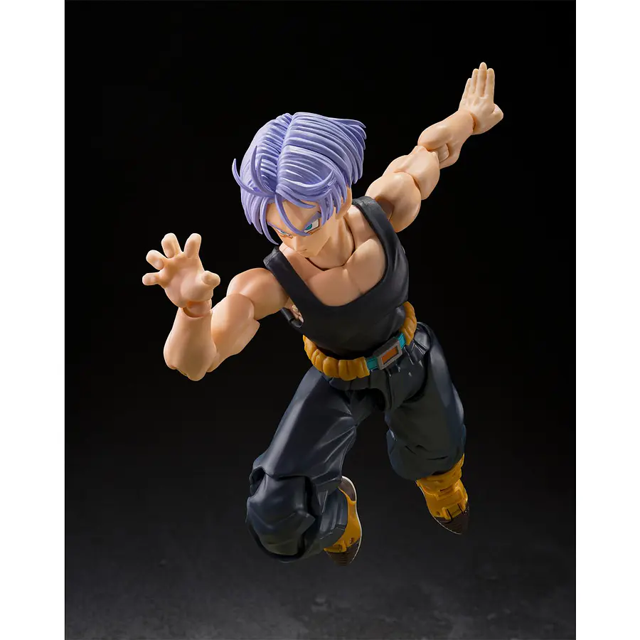 [Preventa Abierta] S.H.FIGUARTS: Dragon Ball Z-FIGHTERS - Trunks Limited Edition 6
