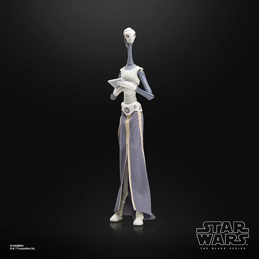 STAR WARS: THE BLACK SERIES TAUN WE 3